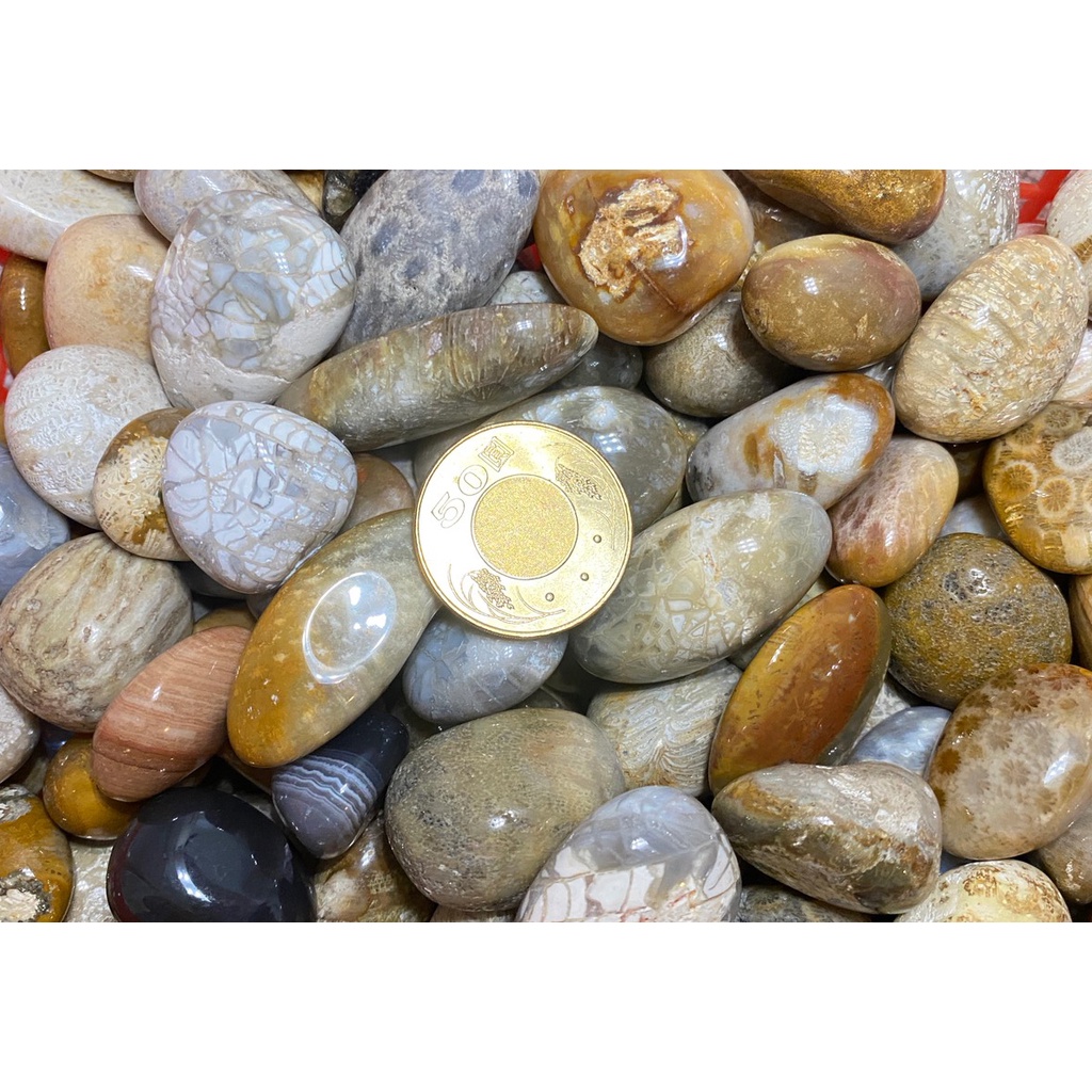甜蜜水晶 天然水晶拋光原礦 東陵玉招正財 原石 東陵玉 碎石 淨化消磁 珊瑚玉 珊瑚化石菊花石 (商品如照片實品拍照):圖片 2